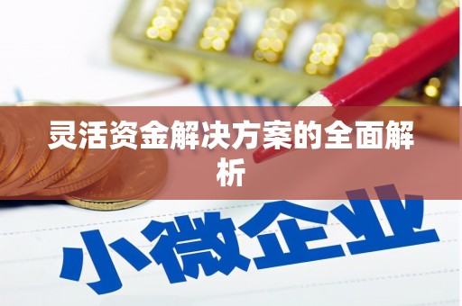 复兴灵活资金解决方案的全面解析