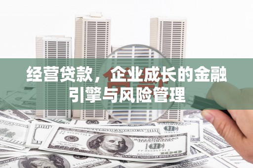 复兴经营贷款，企业成长的金融引擎与风险管理