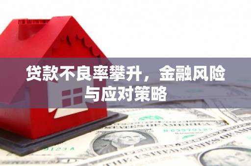 复兴贷款不良率攀升，金融风险与应对策略